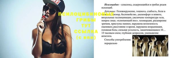 первитин Абинск