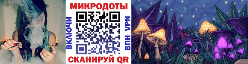 Псилоцибиновые грибы Psilocybine cubensis  Зеленогорск 